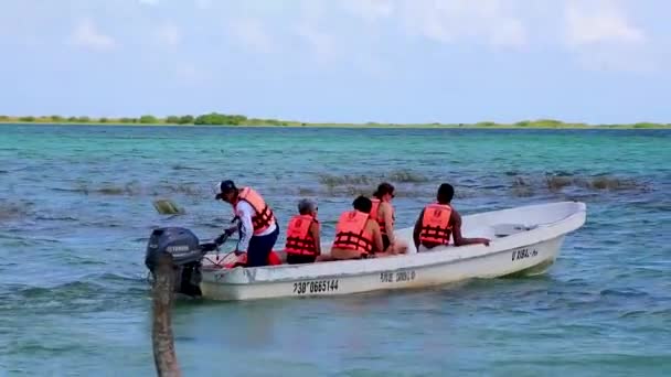Muyil Mexico Februar 2022 Blick Auf Die Muyil Lagune Tropischen — Stockvideo