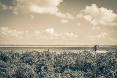 Sian Ka 'an Ulusal Parkı, Muyil Chunyaxche Meksika' daki tropikal orman doğa ormanındaki ahşap kuleden Muyil Lagünü 'ne uzanan panorama manzarasının eski siyah beyaz resmi..