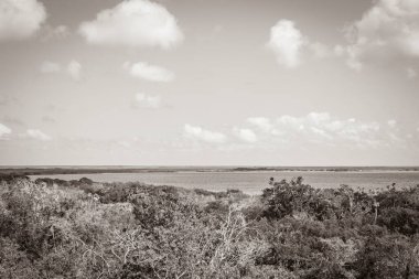 Sian Ka 'an Ulusal Parkı, Muyil Chunyaxche Meksika' daki tropikal orman doğa ormanındaki ahşap kuleden Muyil Lagünü 'ne uzanan panorama manzarasının eski siyah beyaz resmi..