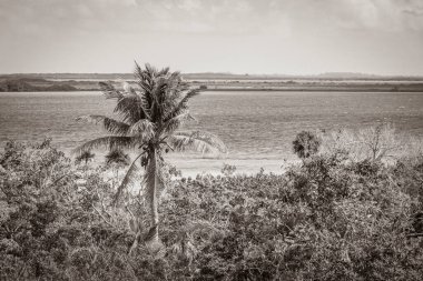 Sian Ka 'an Ulusal Parkı, Muyil Chunyaxche Meksika' daki tropikal orman doğa ormanındaki ahşap kuleden Muyil Lagünü 'ne uzanan panorama manzarasının eski siyah beyaz resmi..