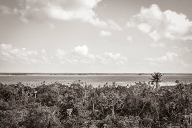 Sian Ka 'an Ulusal Parkı, Muyil Chunyaxche Meksika' daki tropikal orman doğa ormanındaki ahşap kuleden Muyil Lagünü 'ne uzanan panorama manzarasının eski siyah beyaz resmi..