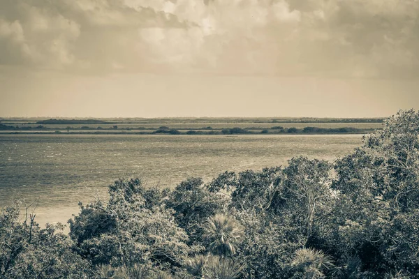 Sian Ka 'an Ulusal Parkı, Muyil Chunyaxche Meksika' daki tropikal orman doğa ormanındaki ahşap kuleden Muyil Lagünü 'ne uzanan panorama manzarasının eski siyah beyaz resmi..