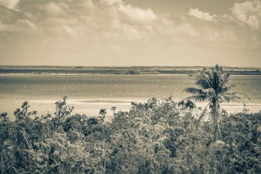 Sian Ka 'an Ulusal Parkı, Muyil Chunyaxche Meksika' daki tropikal orman doğa ormanındaki ahşap kuleden Muyil Lagünü 'ne uzanan panorama manzarasının eski siyah beyaz resmi..