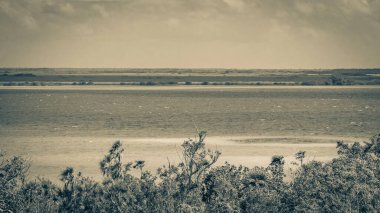 Sian Ka 'an Ulusal Parkı, Muyil Chunyaxche Meksika' daki tropikal orman doğa ormanındaki ahşap kuleden Muyil Lagünü 'ne uzanan panorama manzarasının eski siyah beyaz resmi..