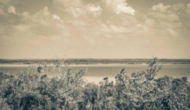 Sian Ka 'an Ulusal Parkı, Muyil Chunyaxche Meksika' daki tropikal orman doğa ormanındaki ahşap kuleden Muyil Lagünü 'ne uzanan panorama manzarasının eski siyah beyaz resmi..