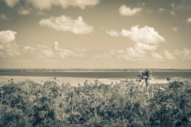 Sian Ka 'an Ulusal Parkı, Muyil Chunyaxche Meksika' daki tropikal orman doğa ormanındaki ahşap kuleden Muyil Lagünü 'ne uzanan panorama manzarasının eski siyah beyaz resmi..
