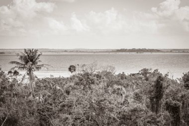 Sian Ka 'an Ulusal Parkı, Muyil Chunyaxche Meksika' daki tropikal orman doğa ormanındaki ahşap kuleden Muyil Lagünü 'ne uzanan panorama manzarasının eski siyah beyaz resmi..