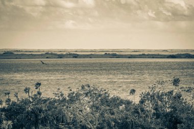Sian Ka 'an Ulusal Parkı, Muyil Chunyaxche Meksika' daki tropikal orman doğa ormanındaki ahşap kuleden Muyil Lagünü 'ne uzanan panorama manzarasının eski siyah beyaz resmi..