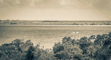 Sian Ka 'an Ulusal Parkı, Muyil Chunyaxche Meksika' daki tropikal orman doğa ormanındaki ahşap kuleden Muyil Lagünü 'ne uzanan panorama manzarasının eski siyah beyaz resmi..