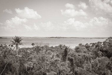 Sian Ka 'an Ulusal Parkı, Muyil Chunyaxche Meksika' daki tropikal orman doğa ormanındaki ahşap kuleden Muyil Lagünü 'ne uzanan panorama manzarasının eski siyah beyaz resmi..