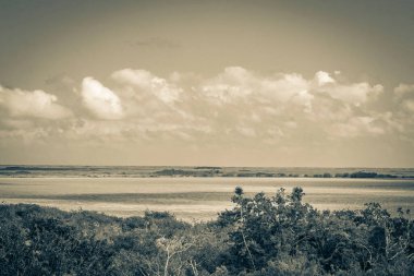 Sian Ka 'an Ulusal Parkı, Muyil Chunyaxche Meksika' daki tropikal orman doğa ormanındaki ahşap kuleden Muyil Lagünü 'ne uzanan panorama manzarasının eski siyah beyaz resmi..