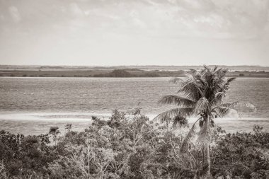 Sian Ka 'an Ulusal Parkı, Muyil Chunyaxche Meksika' daki tropikal orman doğa ormanındaki ahşap kuleden Muyil Lagünü 'ne uzanan panorama manzarasının eski siyah beyaz resmi..