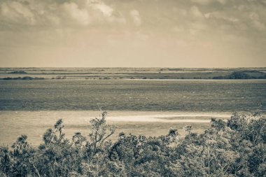 Sian Ka 'an Ulusal Parkı, Muyil Chunyaxche Meksika' daki tropikal orman doğa ormanındaki ahşap kuleden Muyil Lagünü 'ne uzanan panorama manzarasının eski siyah beyaz resmi..
