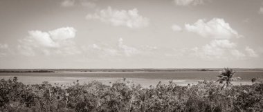 Sian Ka 'an Ulusal Parkı, Muyil Chunyaxche Meksika' daki tropikal orman doğa ormanındaki ahşap kuleden Muyil Lagünü 'ne uzanan panorama manzarasının eski siyah beyaz resmi..