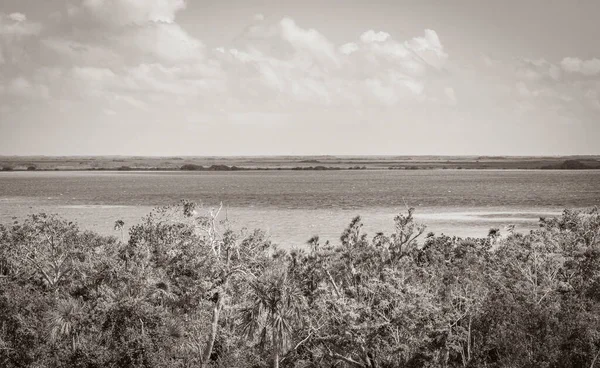 Starý Černobílý Obraz Panoramatického Výhledu Muylskou Lagunu Dřevěné Rozhledny Tropickém — Stock fotografie