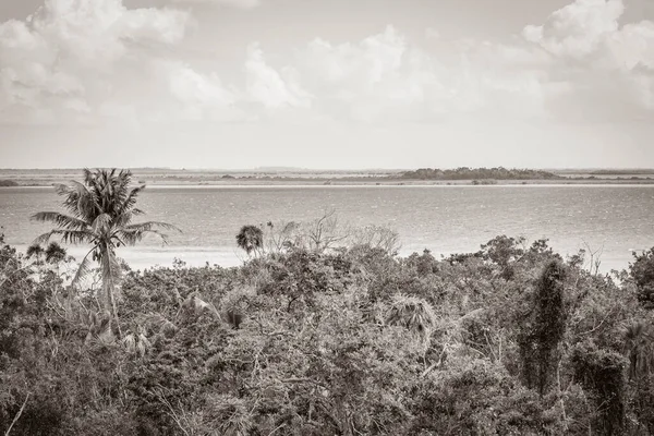 Sian Ka 'an Ulusal Parkı, Muyil Chunyaxche Meksika' daki tropikal orman doğa ormanındaki ahşap kuleden Muyil Lagünü 'ne uzanan panorama manzarasının eski siyah beyaz resmi..