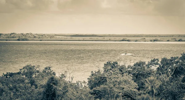 Sian Ka 'an Ulusal Parkı, Muyil Chunyaxche Meksika' daki tropikal orman doğa ormanındaki ahşap kuleden Muyil Lagünü 'ne uzanan panorama manzarasının eski siyah beyaz resmi..