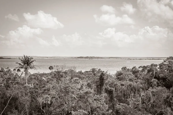 Sian Ka 'an Ulusal Parkı, Muyil Chunyaxche Meksika' daki tropikal orman doğa ormanındaki ahşap kuleden Muyil Lagünü 'ne uzanan panorama manzarasının eski siyah beyaz resmi..
