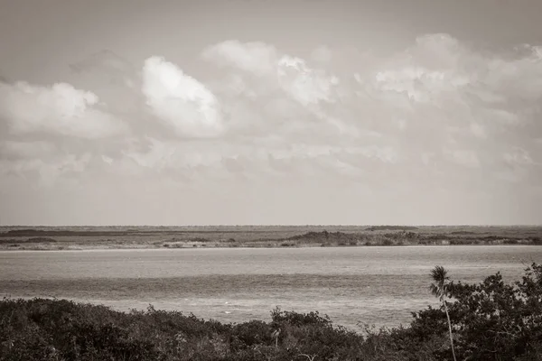 Old black and white picture of the panorama view to the Muyil Lagoon from the wooden viewpoint tower in the tropical jungle nature forest of Sian Ka\'an National park Muyil Chunyaxche Mexico.