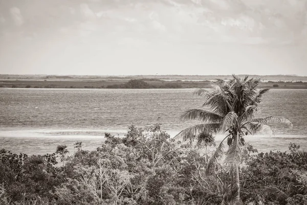 Sian Ka 'an Ulusal Parkı, Muyil Chunyaxche Meksika' daki tropikal orman doğa ormanındaki ahşap kuleden Muyil Lagünü 'ne uzanan panorama manzarasının eski siyah beyaz resmi..