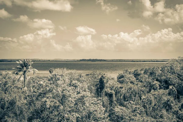 Starý Černobílý Obraz Panoramatického Výhledu Muylskou Lagunu Dřevěné Rozhledny Tropickém — Stock fotografie