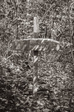 Muyil Chunyaxche Quintana Roo Meksika 'daki Sian Ka' an Ulusal Parkı 'ndaki boş bir bilgi girişinin eski siyah beyaz resmi..