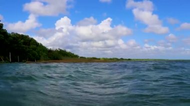 Sian Ka 'an Ulusal Parkı Muyil Chunyaxche Quintana Roo Mexico' nun palmiye ağaçları ile tropikal orman doğa ormanındaki ahşap gözetleme kulesinden Muyil Lagoon 'a manzara.