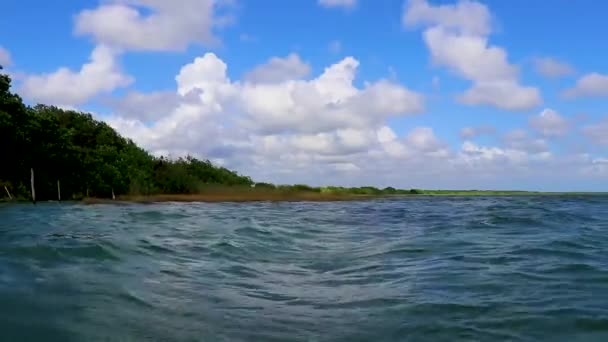 Panorama Uitzicht Muyil Lagoon Vanaf Houten Uitkijktoren Tropische Jungle Natuurbos — Stockvideo