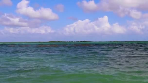Panorama Uitzicht Muyil Lagoon Vanaf Houten Uitkijktoren Tropische Jungle Natuurbos — Stockvideo
