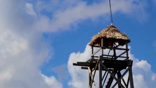 Tour Belvédère Bois Avec Vue Panoramique Sur Lagune Muyil Dans — Video