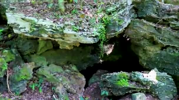 Piękna Pajęcza Sieć Między Kamieniami Skalnymi Głazów Tropikalnych Roślin Szlaki — Wideo stockowe