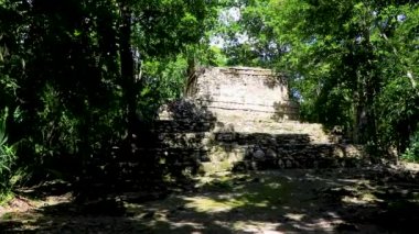 Tapınağı olan antik Maya bölgesi tropik doğal orman palmiyeleri ve Muyil Chunyaxche Quintana Roo Mexico 'daki yürüyüş yolları üzerindeki piramitleri ve eserleri harap eder..