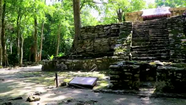 Antiguo Sitio Maya Con Ruinas Templos Pirámides Artefactos Selva Tropical — Vídeo de stock