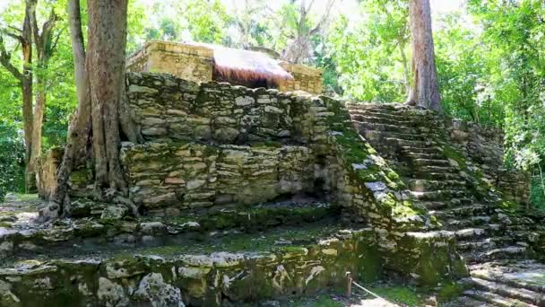 Antiguo Sitio Maya Con Ruinas Templos Pirámides Artefactos Selva Tropical — Vídeo de stock