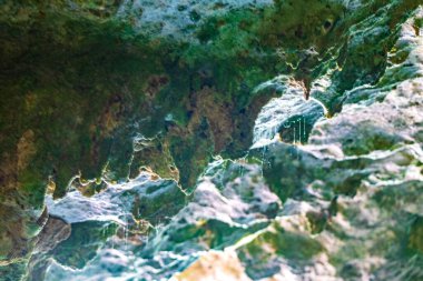 Puerto Aventuras Quintana Roo Mexico 'daki Santuario de los guerreros' taki inanılmaz mavi turkuaz su ve kireçtaşı mağarası çöküntüsü..