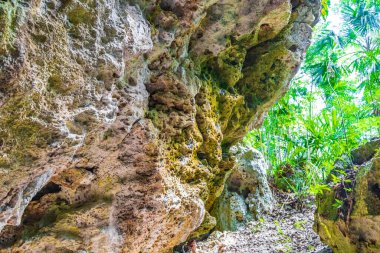 Puerto Aventuras Quintana Roo Mexico 'daki Santuario de los guerreros' taki inanılmaz mavi turkuaz su ve kireçtaşı mağarası çöküntüsü..