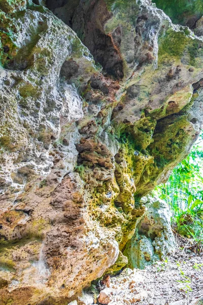 Incredibile Blu Turchese Acqua Calcare Grotta Dolina Cenote Santuario Los — Foto Stock