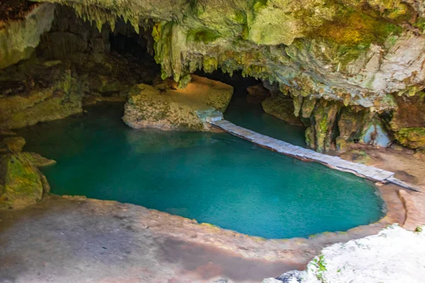 Increíble Cenote Azul Turquesa Agua Cueva Piedra Caliza Santuario Los — Foto de Stock