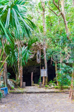 Puerto Aventuras Quintana Roo Mexico 'daki Santuario de los guerreros' taki muhteşem mavi turkuaz su ve kireç taşı mağarası çukuruna giriş..