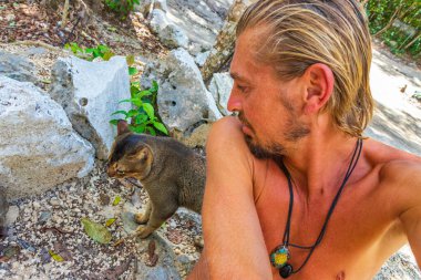 Tropikal orman ormanlarında bir kediyle gezgin ve turist rehberi palmiye ağaçları, ahşap yürüyüş yolları ve Puerto Aventuras Quintana Roo Meksika 'daki Santuario de los guerreros köprüsü dikerler..