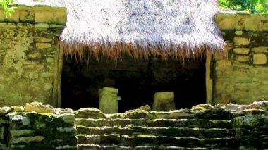 Tapınağı olan antik Maya bölgesi tropik doğal orman palmiyeleri ve Muyil Chunyaxche Quintana Roo Mexico 'daki yürüyüş yolları üzerindeki piramitleri ve eserleri harap eder..