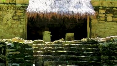 Tapınağı olan antik Maya bölgesi tropik doğal orman palmiyeleri ve Muyil Chunyaxche Quintana Roo Mexico 'daki yürüyüş yolları üzerindeki piramitleri ve eserleri harap eder..