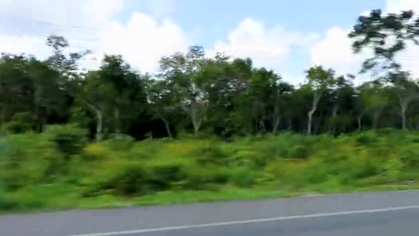 Körning Motorvägen Djungeln Och Tropisk Natur Tulum Quintana Roo Mexiko — Stockvideo