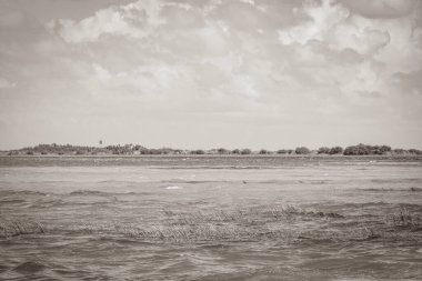 Sian Ka 'an Ulusal Parkı Muyil Chunyaxche Quintana Roo' daki tropikal orman doğa ormanındaki Muyil Lagünü 'ne doğal manzaranın eski siyah beyaz resmi..