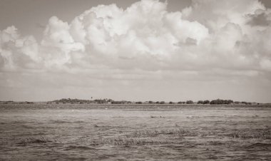 Sian Ka 'an Ulusal Parkı Muyil Chunyaxche Quintana Roo' daki tropikal orman doğa ormanındaki Muyil Lagünü 'ne doğal manzaranın eski siyah beyaz resmi..