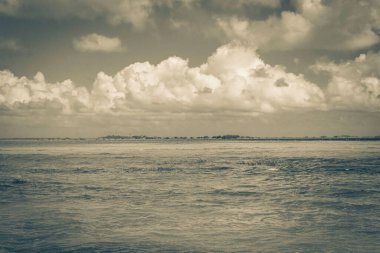 Sian Ka 'an Ulusal Parkı Muyil Chunyaxche Quintana Roo' daki tropikal orman doğa ormanındaki Muyil Lagünü 'ne doğal manzaranın eski siyah beyaz resmi..