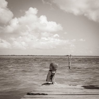 Sian Ka 'an Ulusal Parkı Muyil Chunyaxche Quintana Roo' daki tropikal orman doğa ormanındaki Muyil Lagünü 'ne doğal manzaranın eski siyah beyaz resmi..