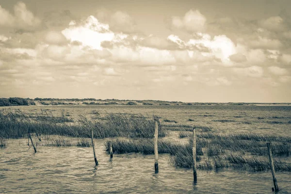 Vieille Image Noir Blanc Vue Panoramique Naturelle Sur Lagune Muyil — Photo