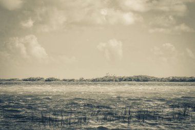 Sian Ka 'an Ulusal Parkı Muyil Chunyaxche Quintana Roo' daki tropikal orman doğa ormanındaki Muyil Lagünü 'ne doğal manzaranın eski siyah beyaz resmi..