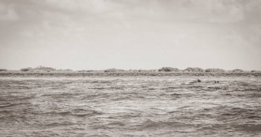 Sian Ka 'an Ulusal Parkı Muyil Chunyaxche Quintana Roo' daki tropikal orman doğa ormanındaki Muyil Lagünü 'ne doğal manzaranın eski siyah beyaz resmi..